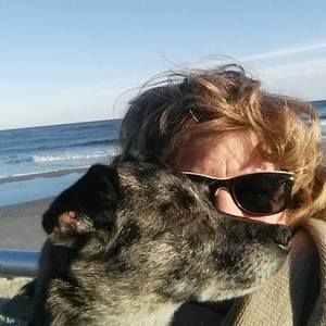 Meet your Posher, Jane